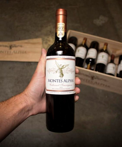 sản xuất vang Montes Alpha Cabernet Sauvignon
