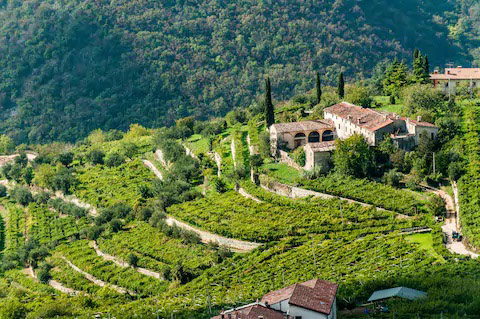 xuất xứ của vang Amarone Villa