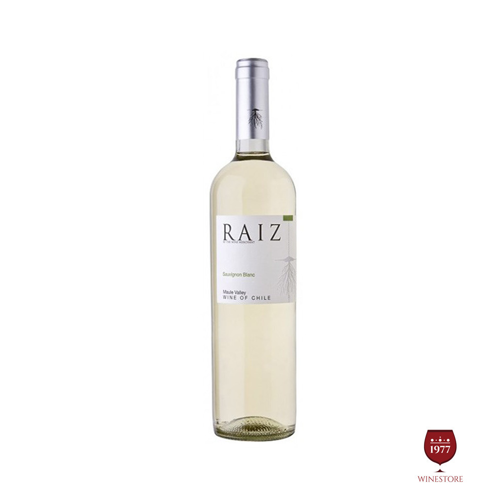 Rượu Vang Chile Raiz Classico Sauvignon Blanc 5.4% ABV*
