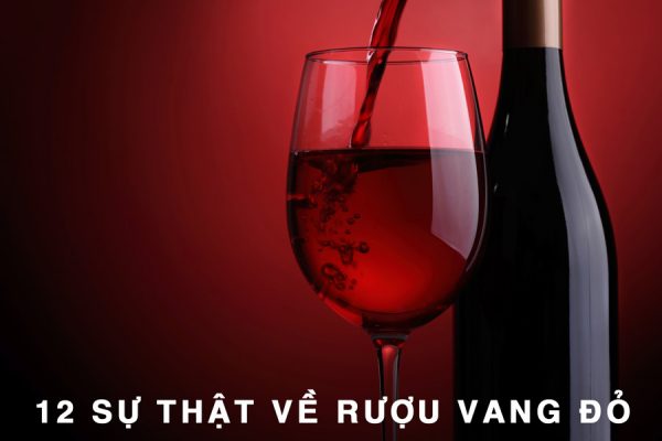 12 sự thật ngạc nhiên về rượu vang đỏ