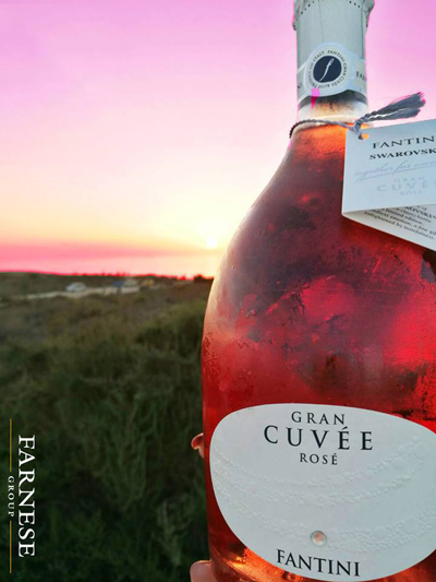 đặc điểm vang Ý Fantini Gran Cuvee Rose