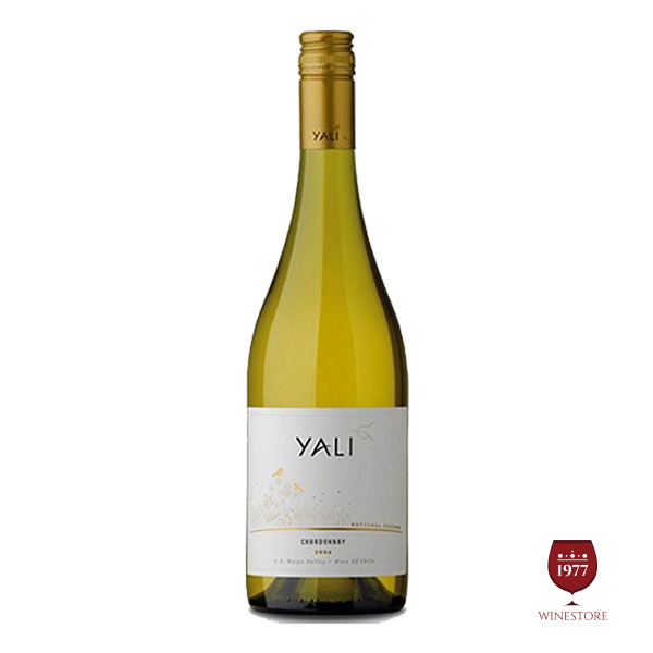 Rượu Vang Yali Reserva Trắng 5.4% ABV* – Mua Rượu Vang Chile Ngon