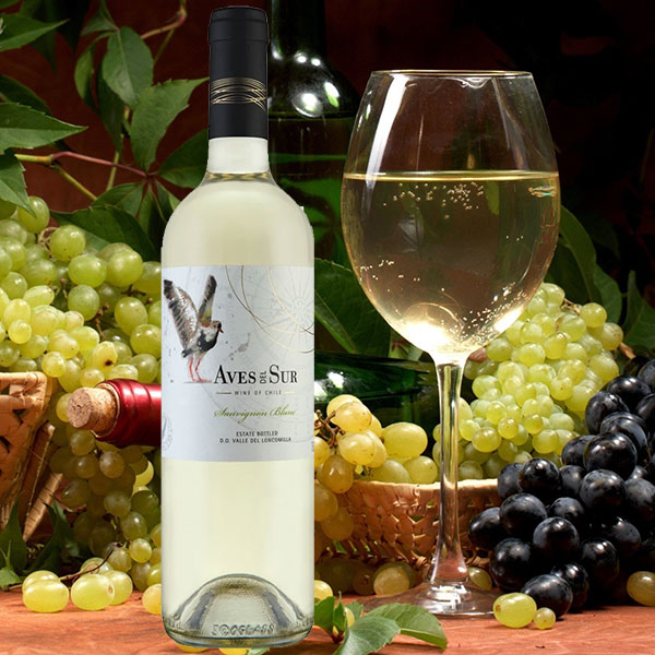 Rượu vang Aves Del Sur Clasico Sauvignon Blanc