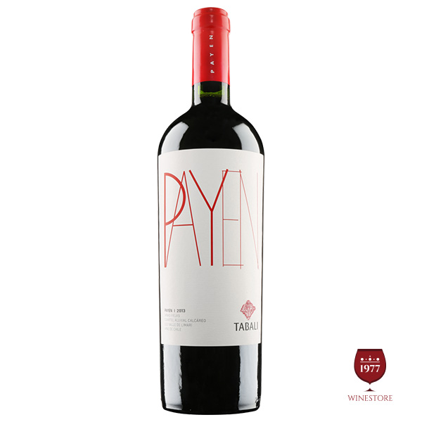 Rượu Vang Chile Cao Cấp Tabali Payen Blend