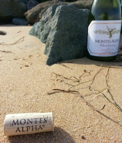 thưởng thức rượu vang Montes Alpha Chardonnay