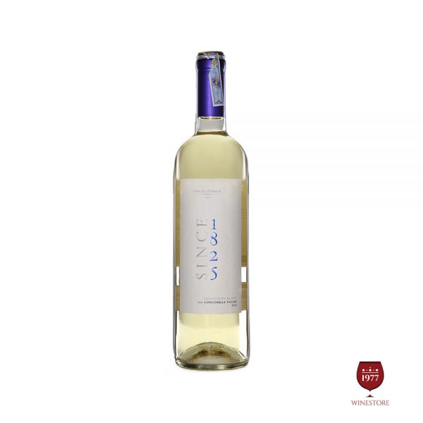 Rượu Vang Since 1825 Classico Sauvignon Blanc