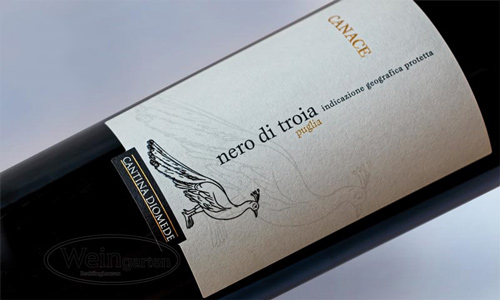 giới thiệu vang ý Canace Nero di Troia